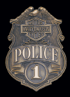 2010161Large.gif (36151 bytes)