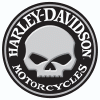 2011021-willy-skull-SMALL.gif (366843 bytes)
