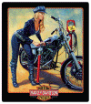 2011041-H-D-Pumper-Up-BabeSM.gif (724297 bytes)