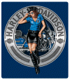 2011271-H-D-Police-babe-SM.gif (550881 bytes)