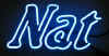 AB_natural_light_neon_sign.JPG (82532 bytes)