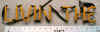 A_livin-the-1.JPG (56818 bytes)