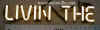 A_livin-the-2.JPG (49778 bytes)