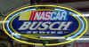 Busch_nascar.jpg (76861 bytes)