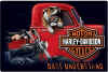HARLEY-dog.jpg (47485 bytes)