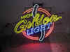 Mich_golden_light.jpg (8392 bytes)
