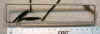 Miller_neon_sign_reserve-1.JPG (61737 bytes)