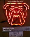 dog-face2.JPG (98736 bytes)