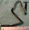 ear1a.JPG (81975 bytes)