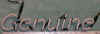genuine3_a.JPG (44868 bytes)