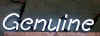 genuine3_b.JPG (51808 bytes)