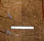 mostate_a.jpg (120924 bytes)