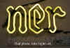 shiner_neon_beer_part.JPG (89827 bytes)